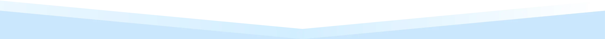 Light section divider